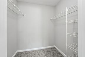 Empty white closet with shelves and carpeted floor.